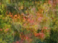 -奥林匹克森林公园北园-停车场