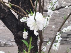 -雍和宫(地铁站)