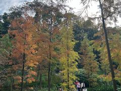 -云溪植物园