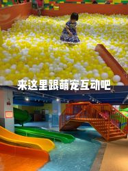 -宝燕乐园(闵行旗舰店)