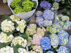 -循礼门鲜花花市(武汉循礼门店)