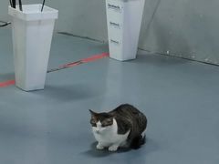 -蓝天射箭馆·专业射箭运动(诚丰广场店)