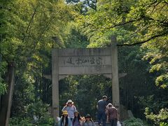 -紫金山天文台