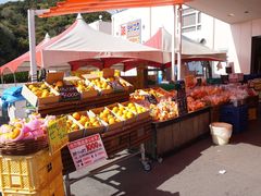 -海鮮寿司とれとれ市場