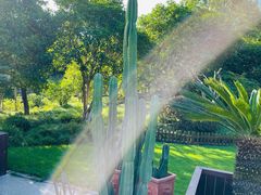 -花到家(富贵鸟花艺行)