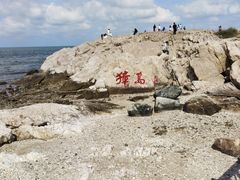 -养马岛旅游度假区