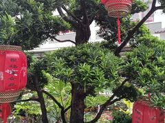 -聚福宝合苑食府(南头镇店)