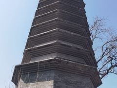 -正阳书局(西四南大街店)
