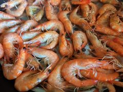 -益健美食大广场(北岭店)