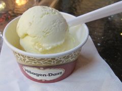 冰激凌-哈根达斯(武汉天地店)