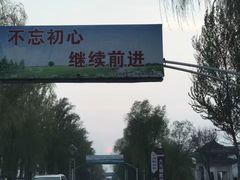 -白洋淀景区