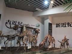 -烟台自然博物馆