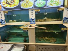 -鲜鲜·鲅鱼圈海鲜(于洪店)
