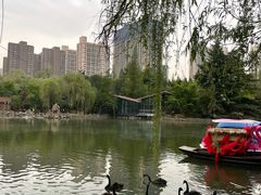 -西苑公园