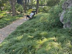 -上海醉白池公园