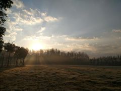 -黄海国家森林公园