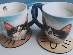 -喵的天空名猫咖啡馆·撸猫·猫舍·用品