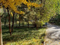 -辛玛王国游乐园