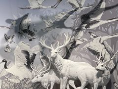 -中国湿地博物馆