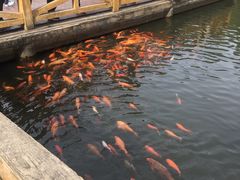 -威海华夏城景区