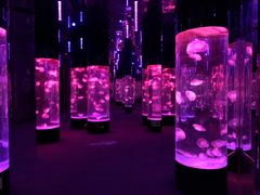 -成都浩海立方海洋公园