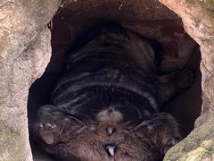 -费瑟代尔野生动物园