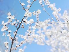 -北京大学赛克勒考古与艺术博物馆