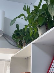 -Dr·Jane皮肤管理中心