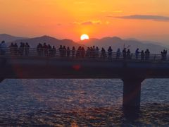 -演武大桥观景平台