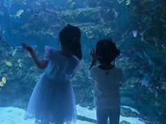 -海合安成都极地海洋公园