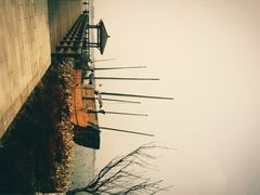 iphone_upload_pic-苏州太湖国家湿地公园