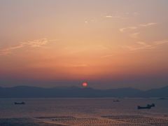 -枸杞岛