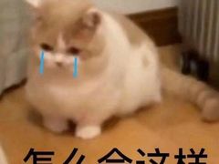 -壹迦桌游·血染钟楼剧本杀狼人杀