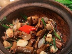-大榕树下顺德菜(融创茂店)