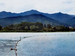 -长田漾湿地公园
