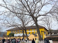 -鸣鹤古镇