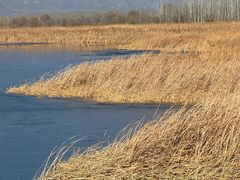 -野鸭湖国家湿地公园
