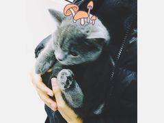 -达爱动物医院·犬猫分区·CT·复杂眼科(远洋山水分院)
