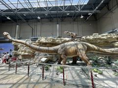 -国家自然博物馆