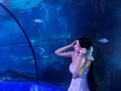-重庆欢乐海底世界