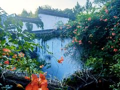 -院子餐厅·大锅菜·老杭帮(桥西直街店)