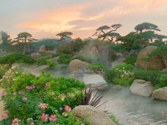 -罗红摄影艺术馆