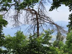 -莫干山风景区
