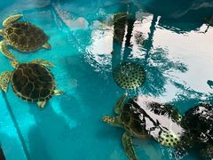 -成都浩海立方海洋公园