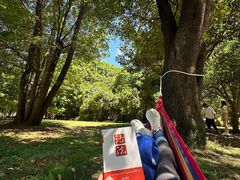 -昆明市金殿名胜区