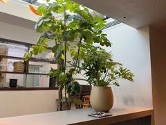 -自如ZSPACE四合院艺术餐厅