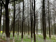 -艾溪湖湿地公园