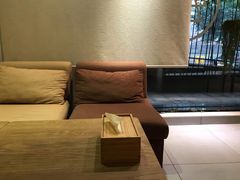 -柴务处·柴犬主题狗咖