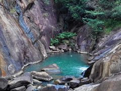 -广州白江湖森林公园