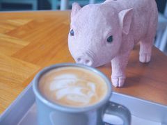 -WHEN PIGS FLY当猪飞